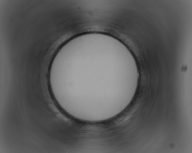 X0000101150625200807181335