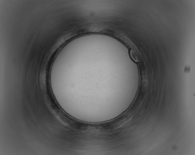 X0000101150626200807181335