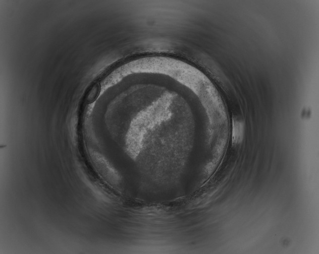 X0000101150627200807181335