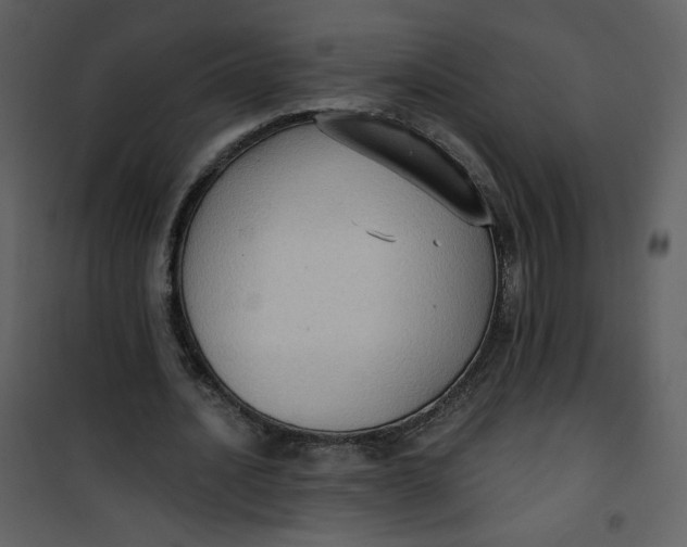 X0000101150628200807181335