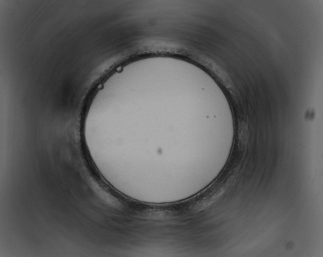 X0000101150629200807181335