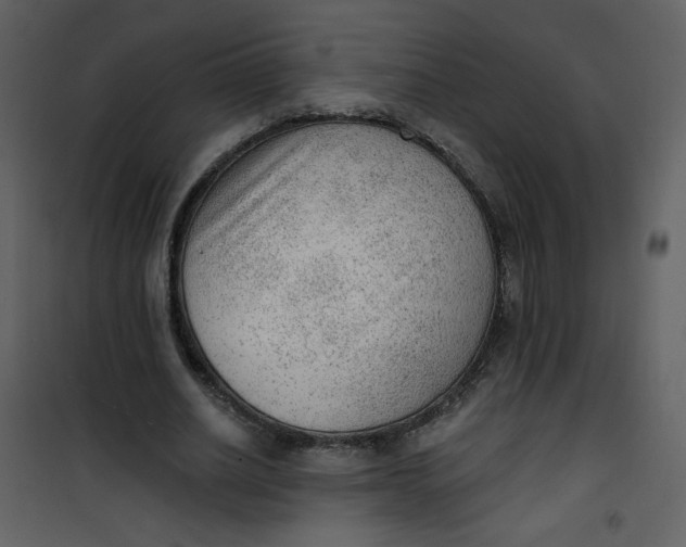 X0000101150630200807181335