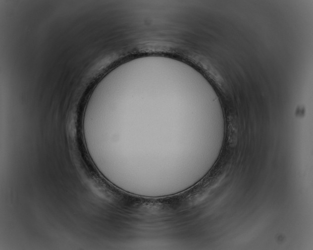 X0000101150631200807181335