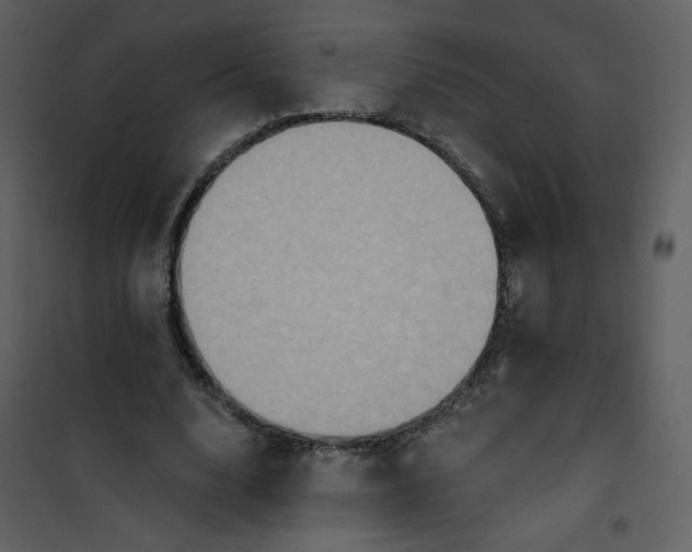 X0000101150632200807181335