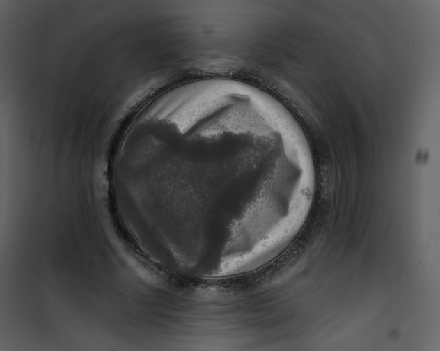 X0000101150634200807181335