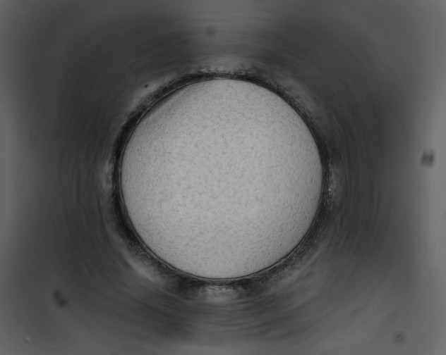 X0000101150636200807181335