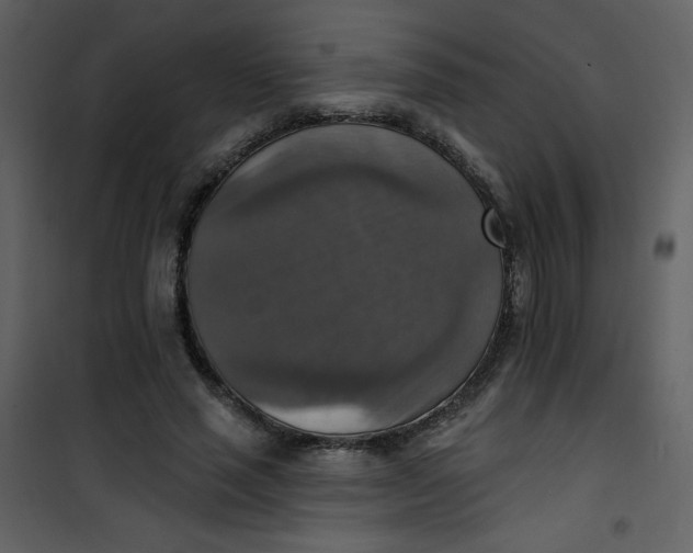 X0000101150637200807181335