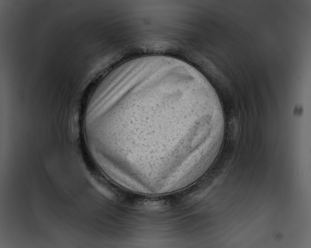 X0000101150638200807181335