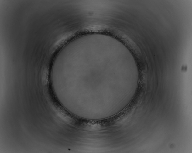 X0000101150640200807181335