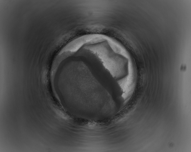 X0000101150641200807181335