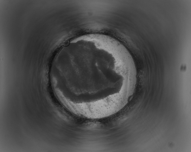 X0000101150642200807181335