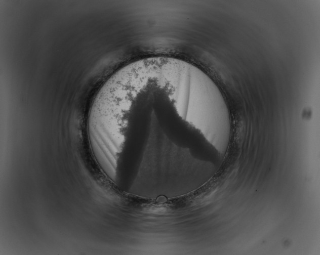 X0000101150643200807181335