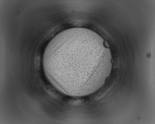 X0000101150646200807181335