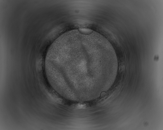 X0000101150647200807181335