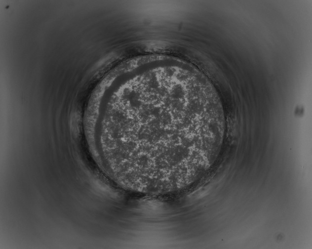 X0000101150648200807181335