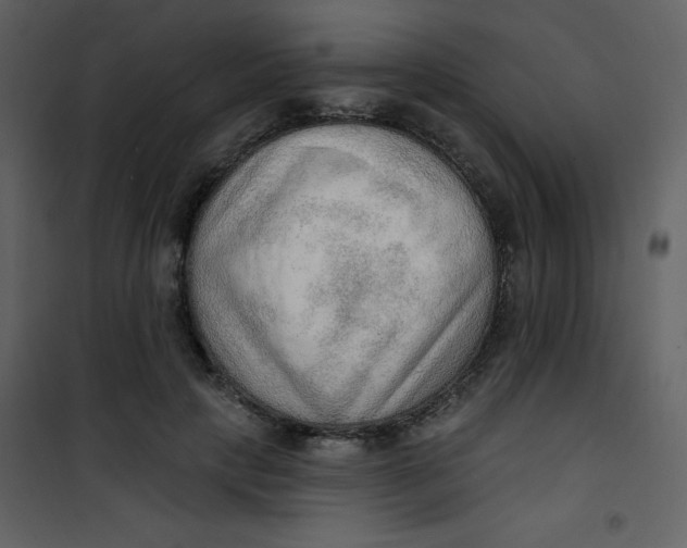 X0000101150649200807181335