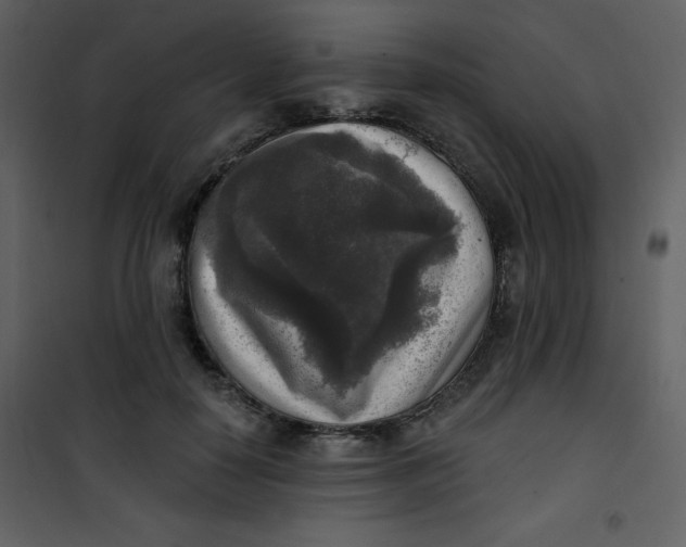 X0000101150650200807181335