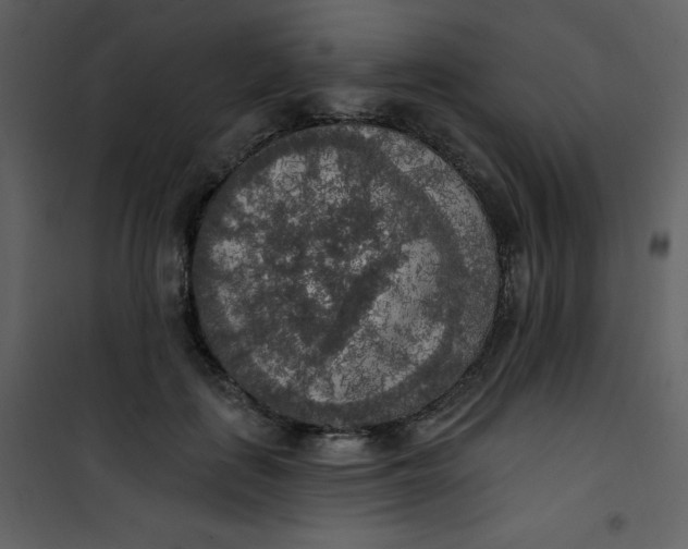 X0000101150651200807181335