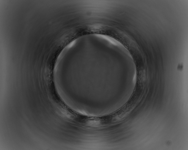 X0000101150653200807181335