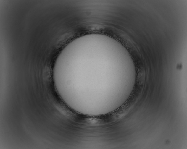 X0000101150654200807181335