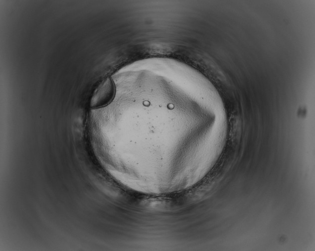 X0000101150655200807181335