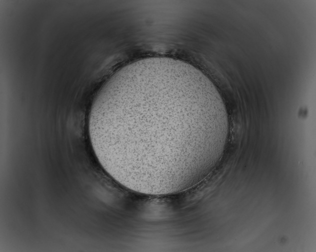 X0000101150656200807181335