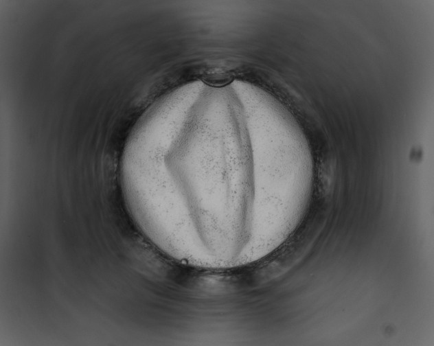 X0000101150657200807181335