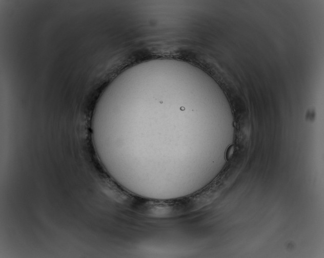 X0000101150658200807181335