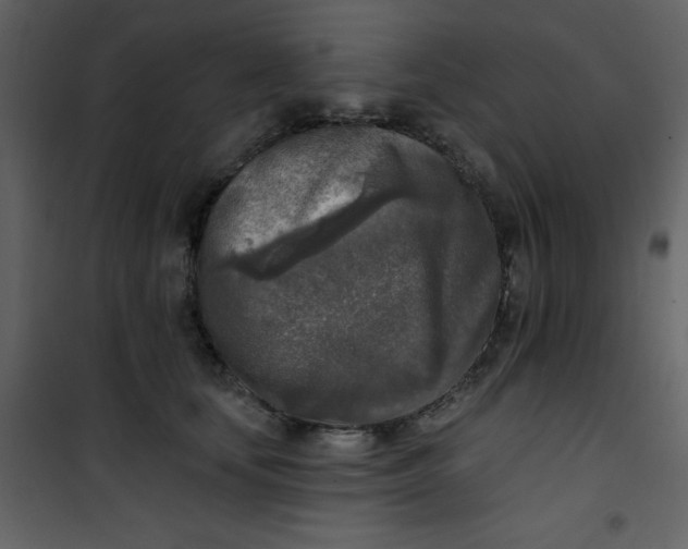 X0000101150659200807181335