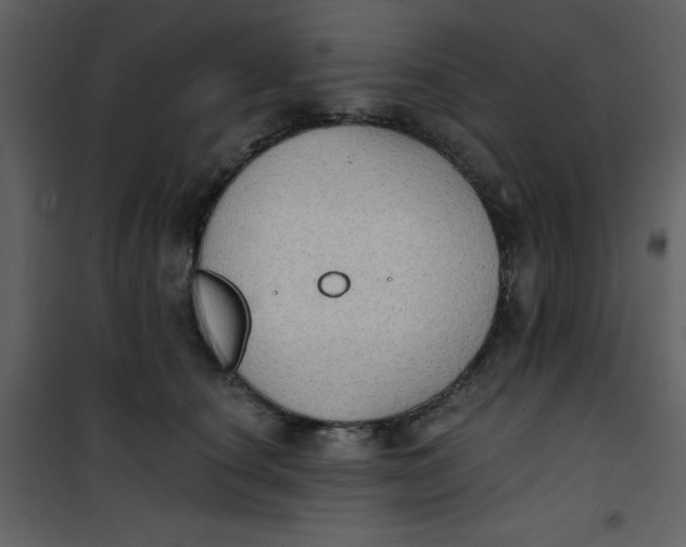 X0000101150660200807181335