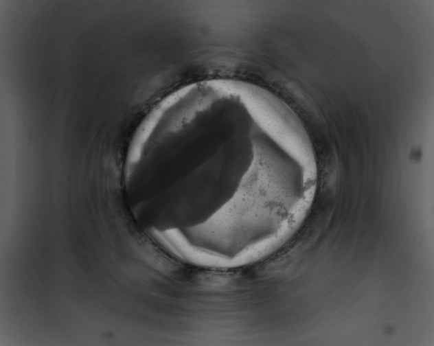 X0000101150661200807181335