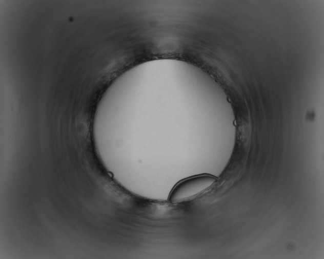 X0000101150662200807181335