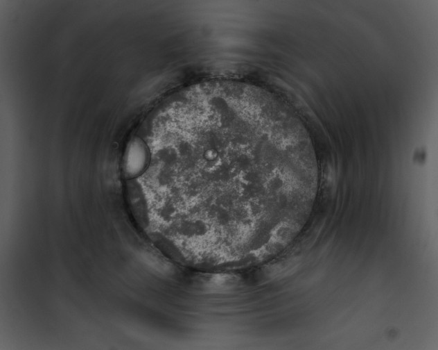 X0000101150663200807181335