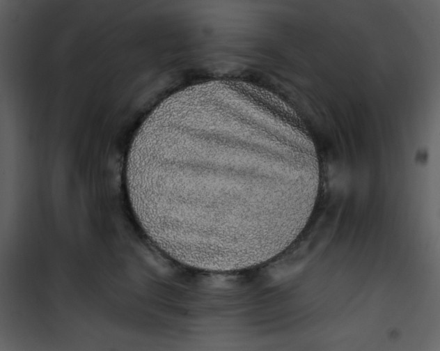 X0000101150664200807181335