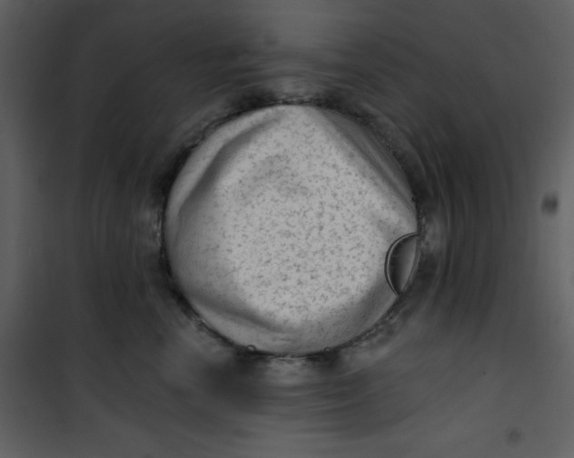 X0000101150666200807181336