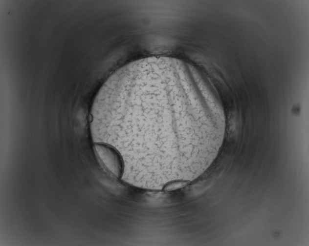 X0000101150667200807181336