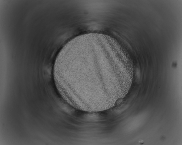 X0000101150668200807181336