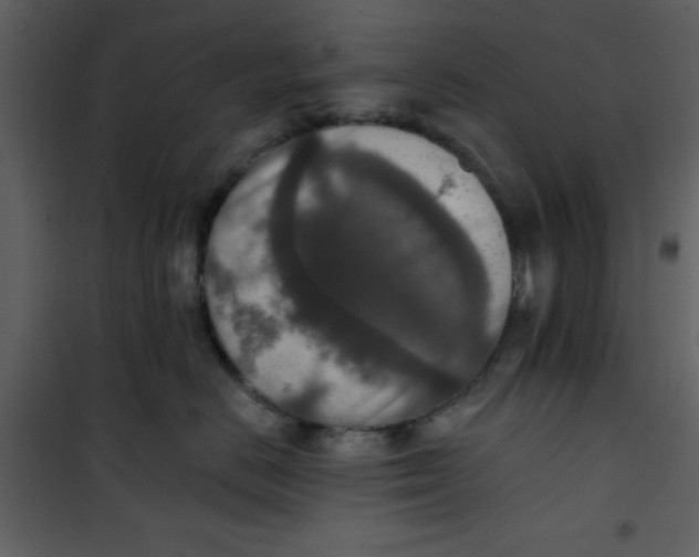 X0000101150670200807181336