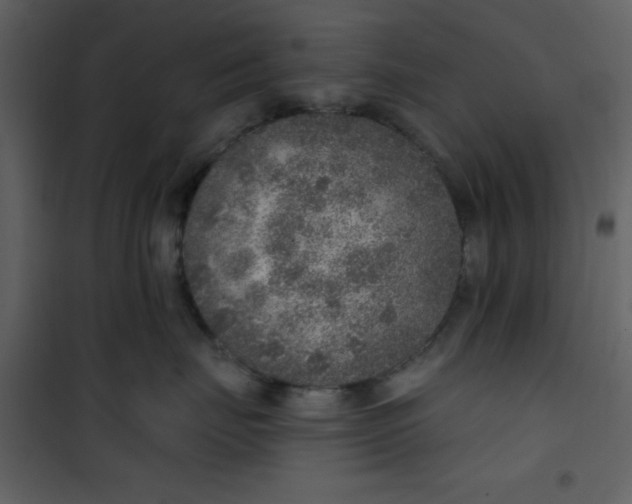 X0000101150671200807181336