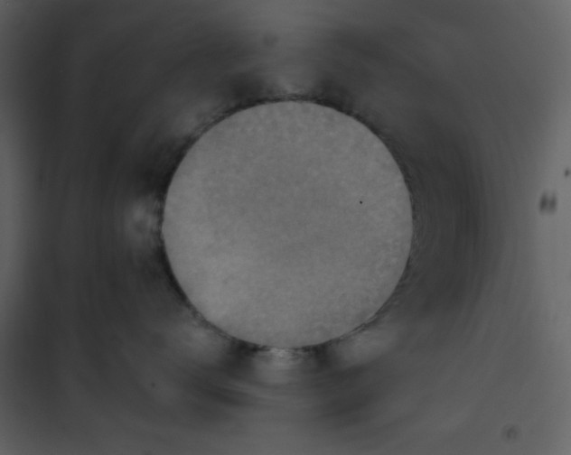 X0000101150672200807181336