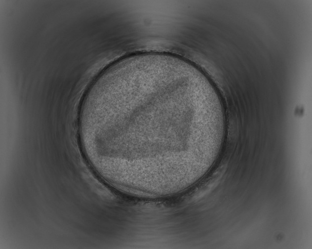 X0000101150673200807181335