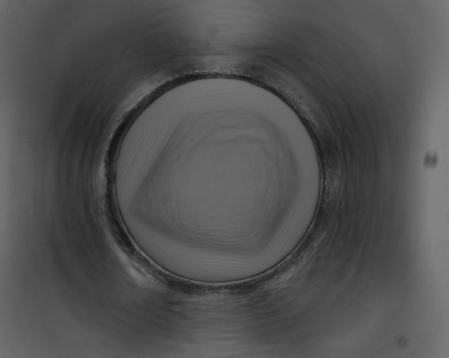 X0000101150674200807181335