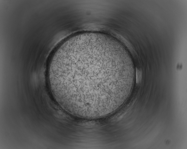 X0000101150675200807181335