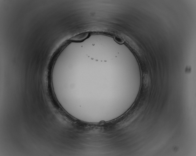 X0000101150676200807181335