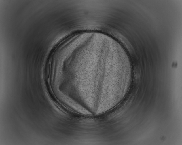 X0000101150677200807181334