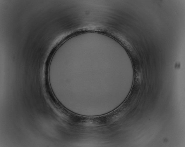 X0000101150678200807181334