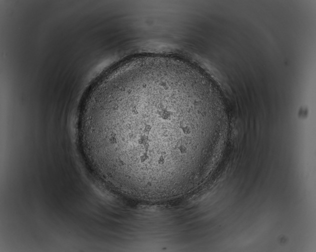 X0000101150679200807181334