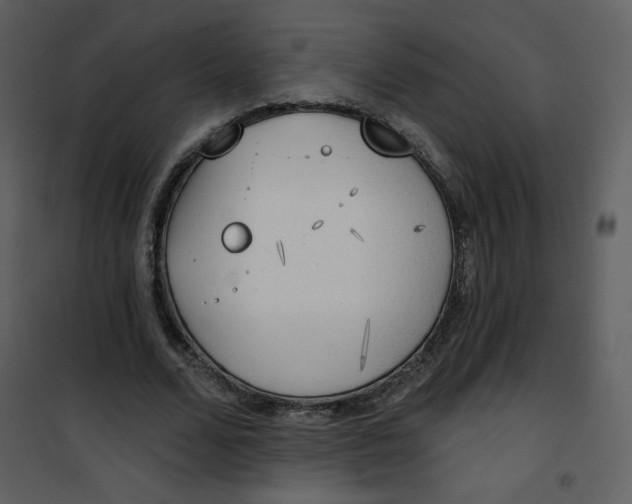 X0000101150680200807181334