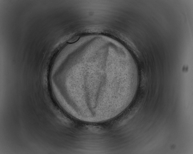 X0000101150681200807181334