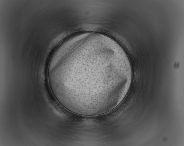 X0000101150682200807181334